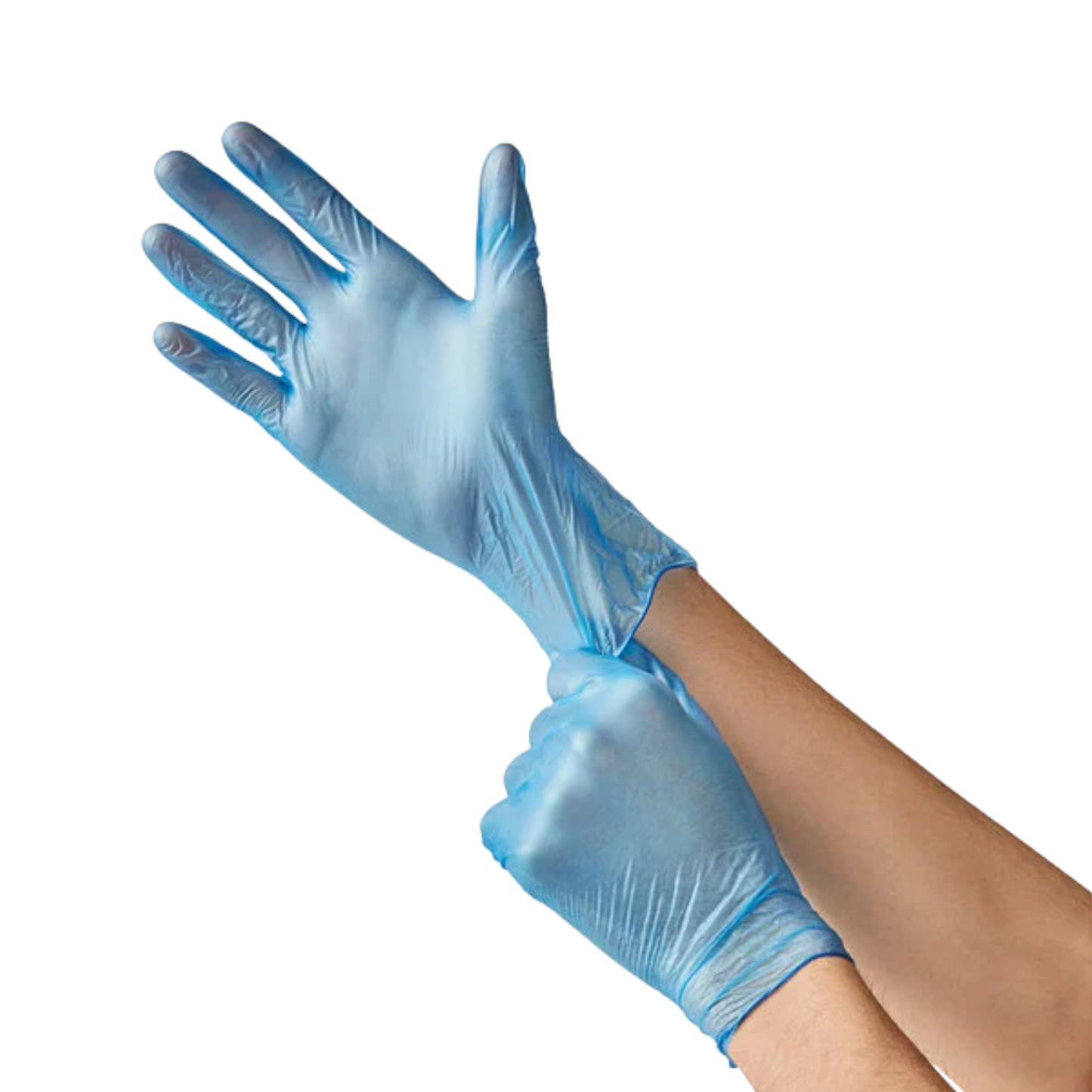 Blue Vinyl Gloves for Food Handling Powder Free 4.5mil (10 Boxes / Case, 1000 Count)