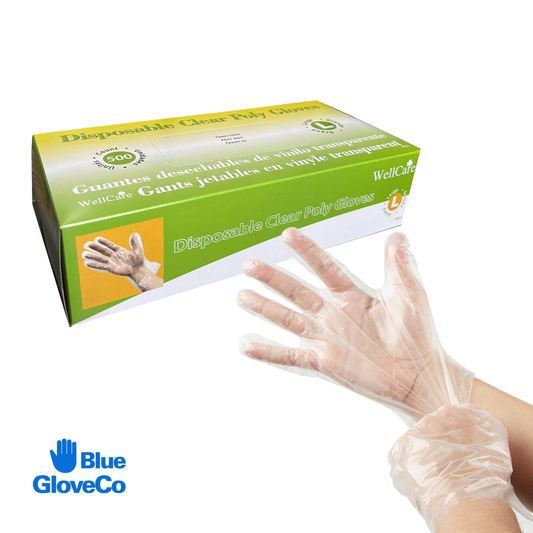 Wellcare Clear Poly Glove (HDPE) Large (Case of 10,000 pcs)